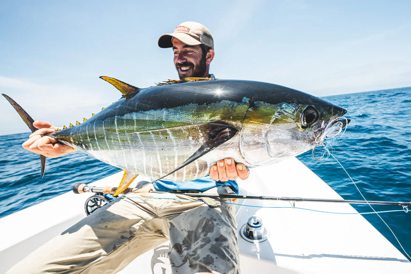 Yellowfin Tuna