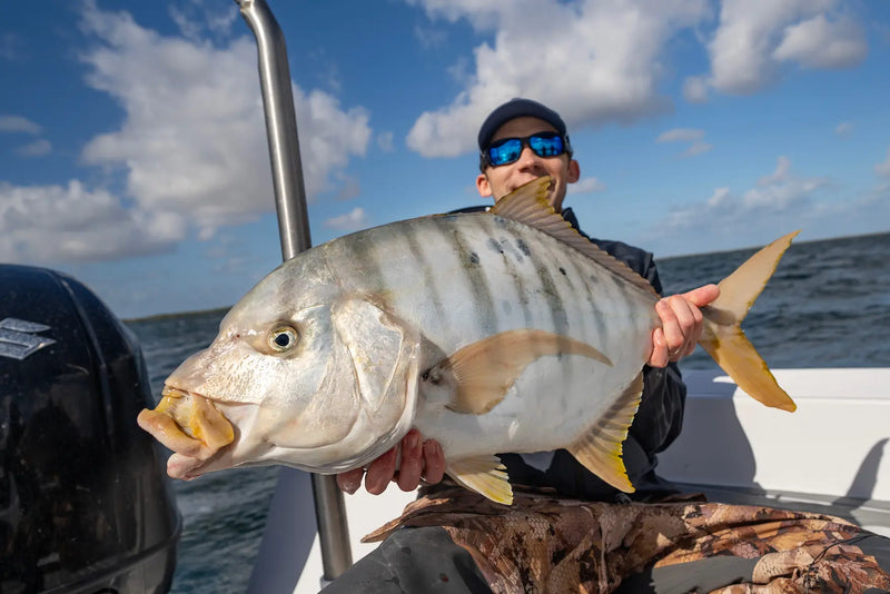 Golden Trevally