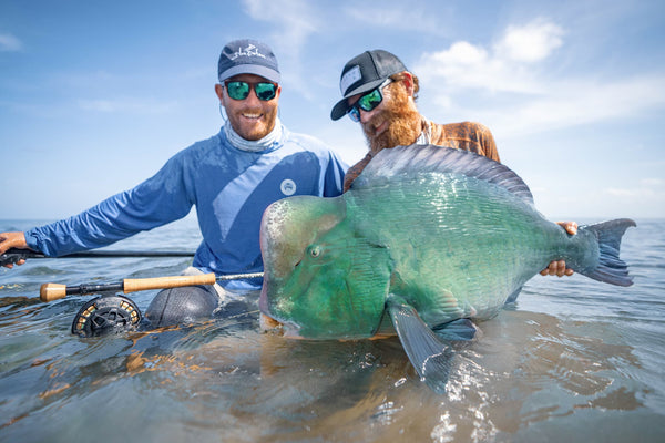 Two anglers in blue sun shirts and caps holding a large iridescent green parrotfish in shallow water on a fishing trip