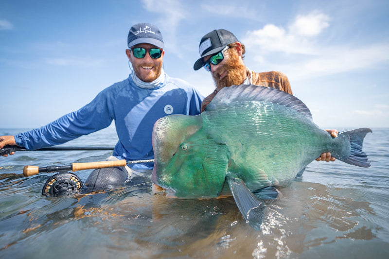 Bumphead Parrotfish