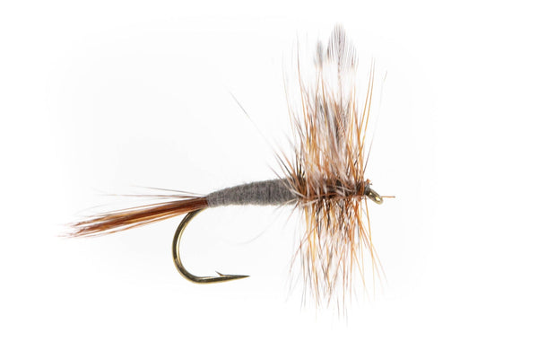 Elk Hair Caddis