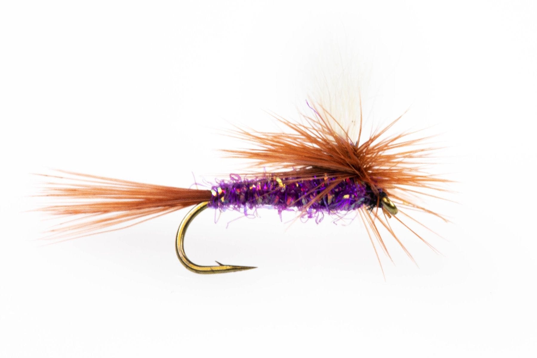 Umpqua Adams UV purple parachute dry fly with sparkly purple body, brown hackle, white parachute post and gold hook