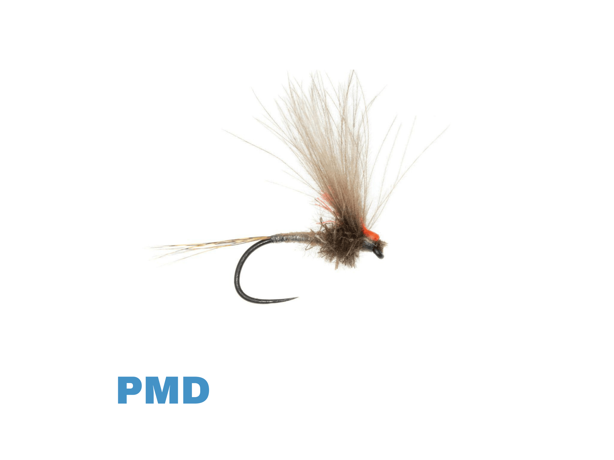 Umpqua Antonio's Adult dry fly with tan deer hair wing, brown dubbed body, orange head and black hook