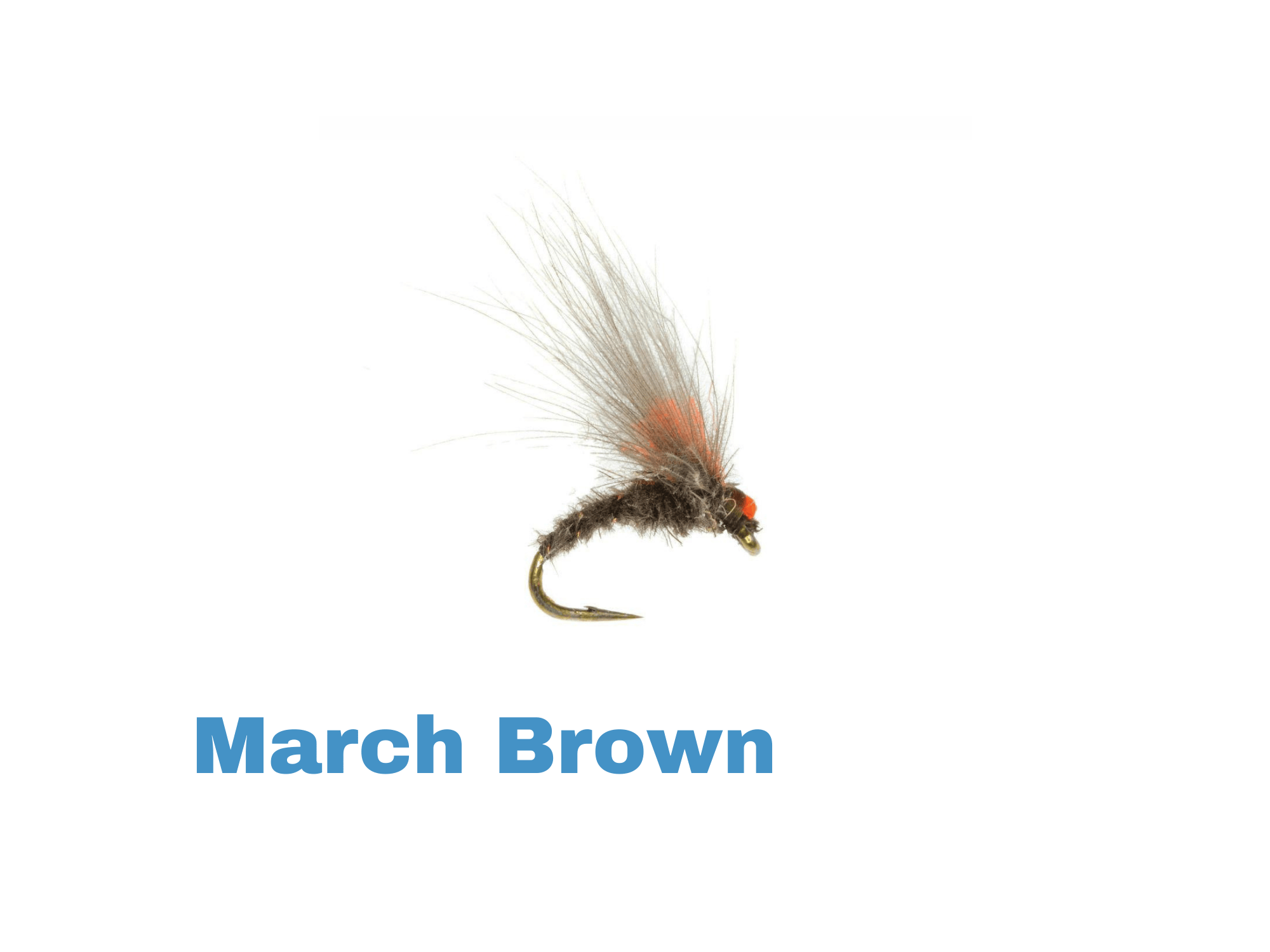 Umpqua Antonio's Emerger March Brown fly with fuzzy brown dubbing body, tan hair wing and orange bead head on gold hook