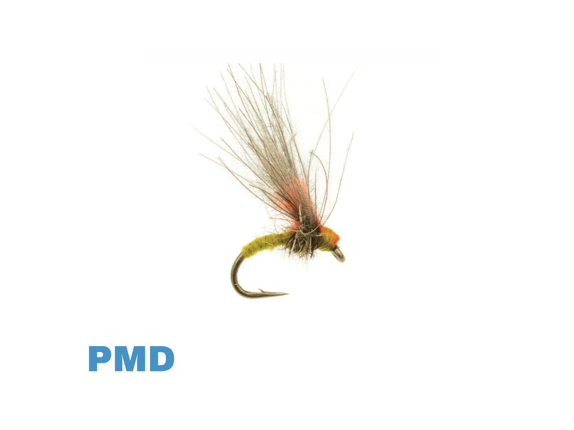 PMD emerger fly with olive-yellow body, fuzzy brown dubbing thorax, bright orange head and long gray hair wing on bronze hook