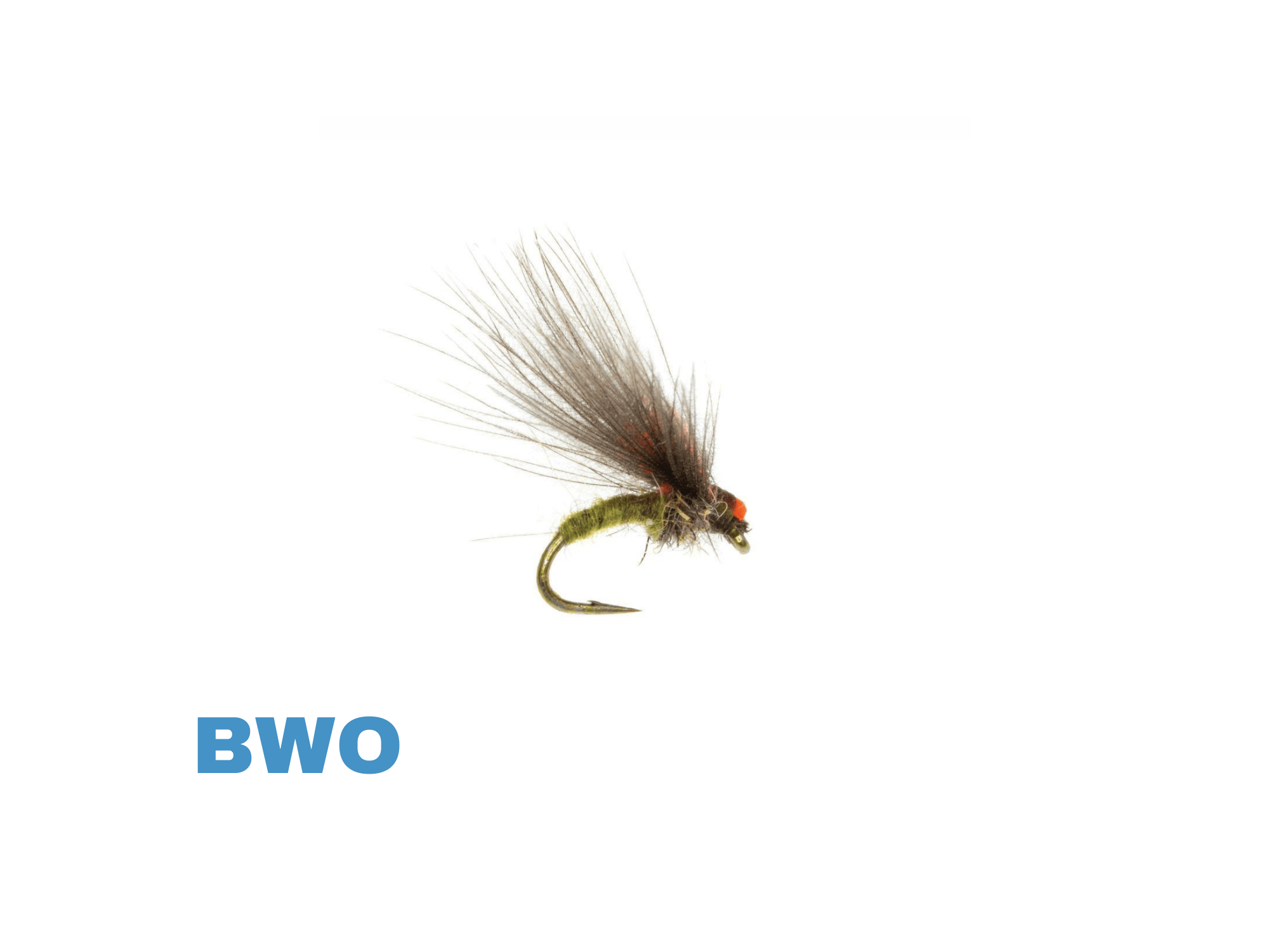 Umpqua Antonio's Emerger fly: olive dubbing body, upright brown CDC wing, orange bead head on gold hook — BWO emerger