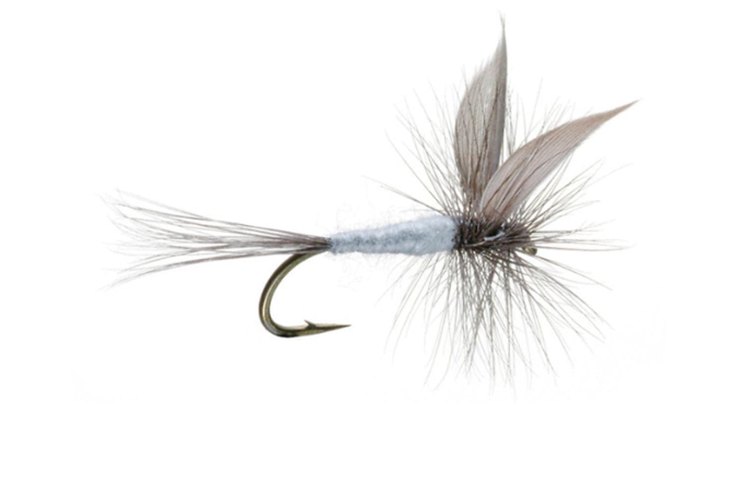 Blun Dun Fly