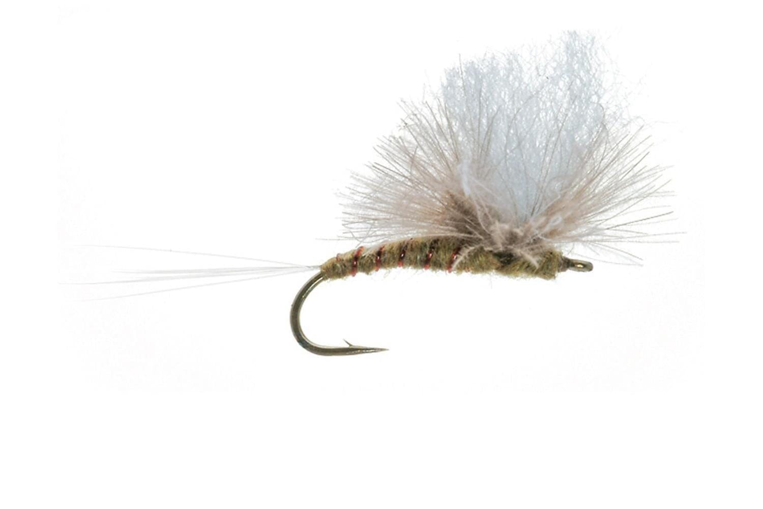 CDC Green Drake Parachute Dry Fly