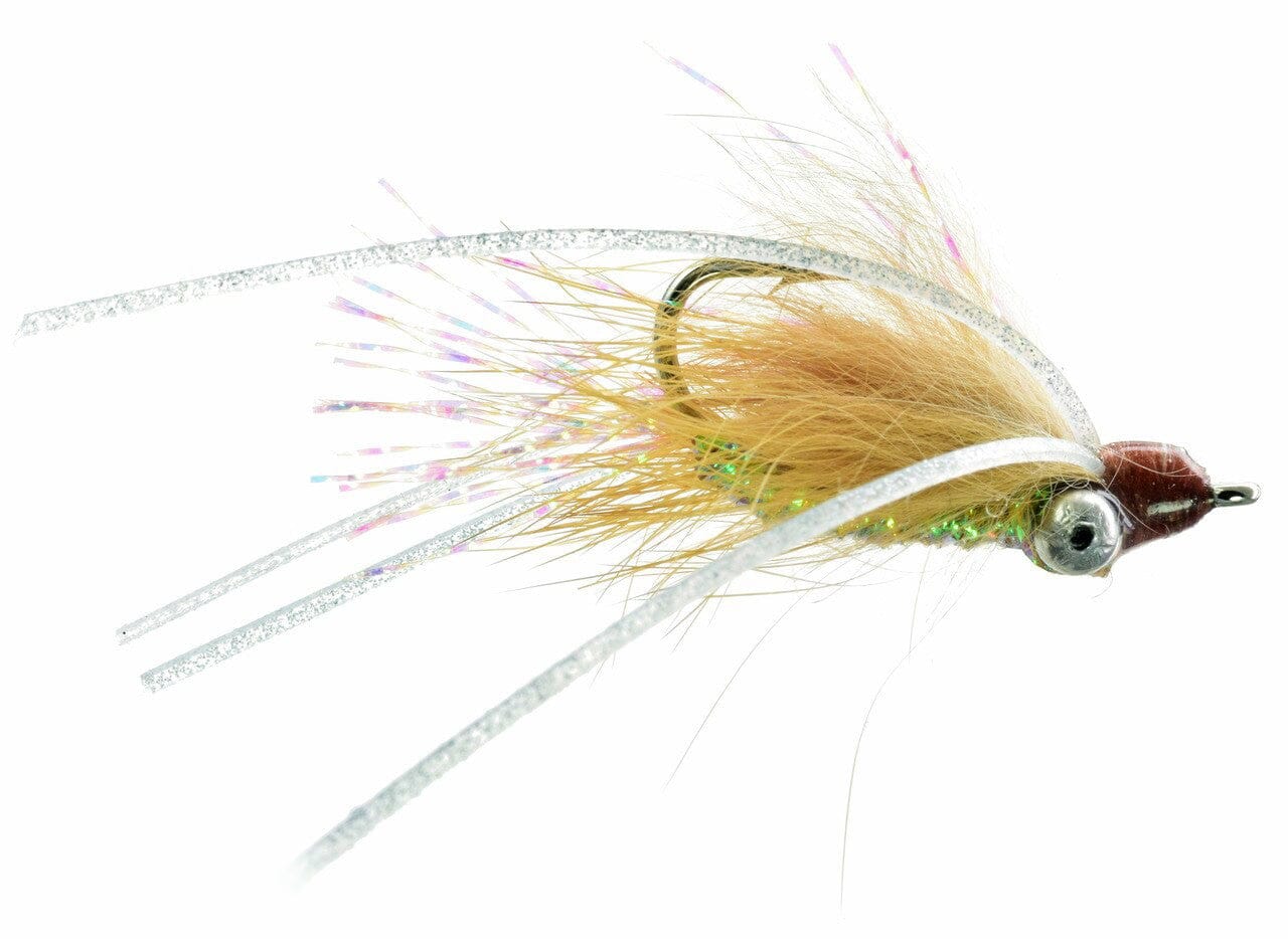 Chicone's Bone Appetite Fly