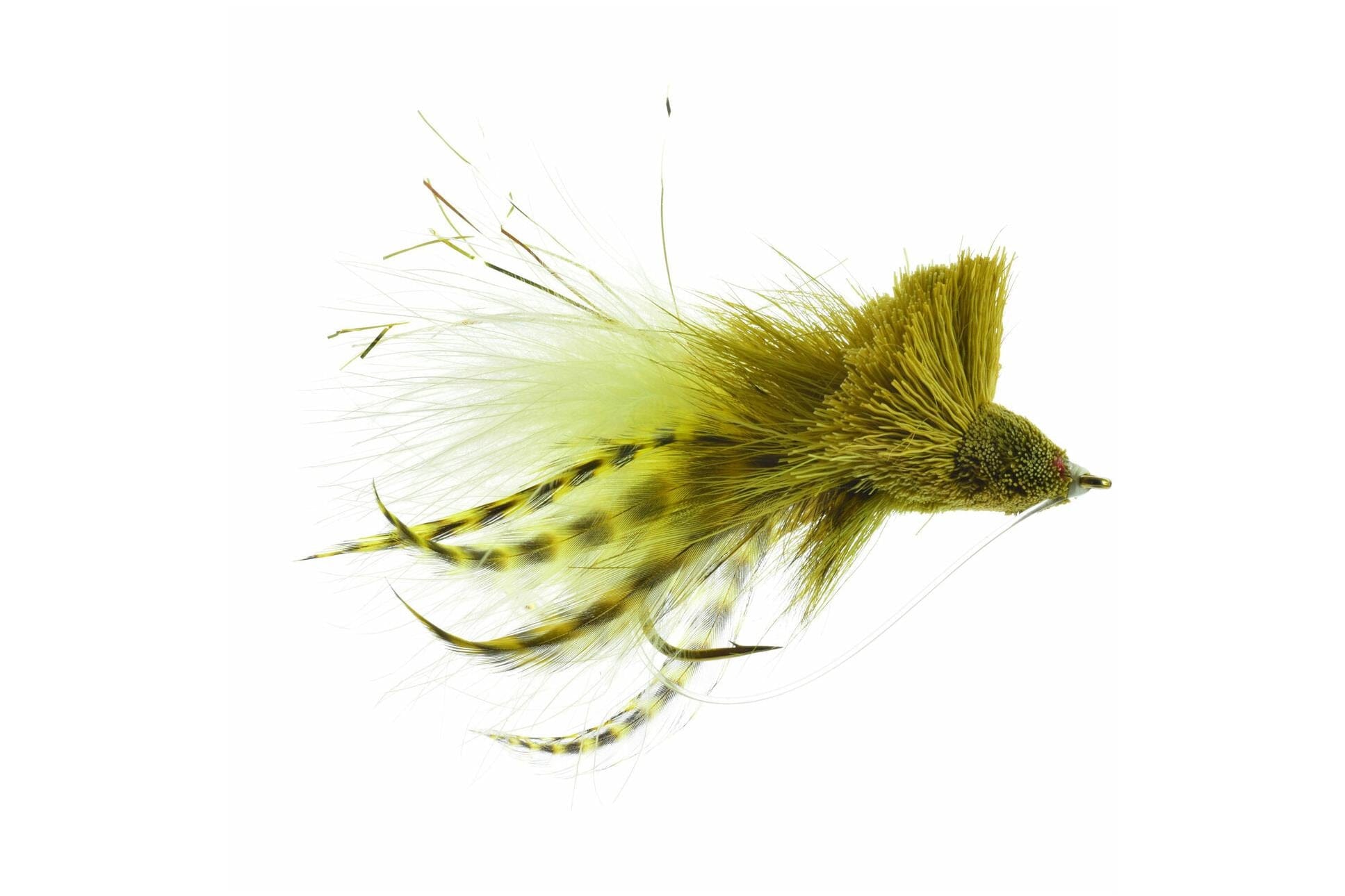 Diving Bug Fly