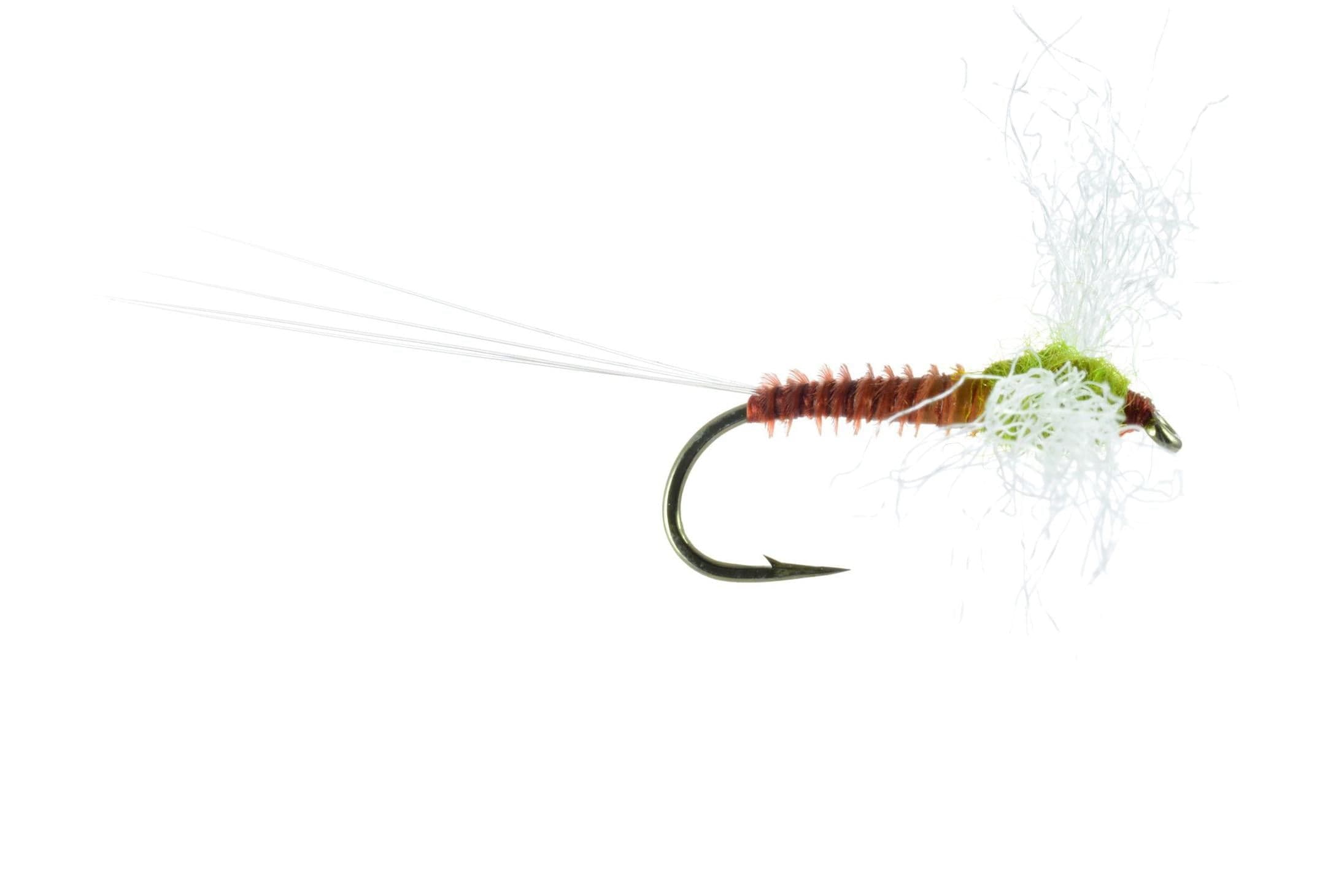 Flav Spinner Fly | Trident Fly Fishing