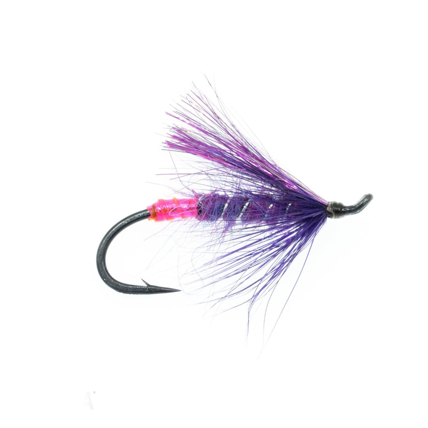 Hocus Pocus Fly