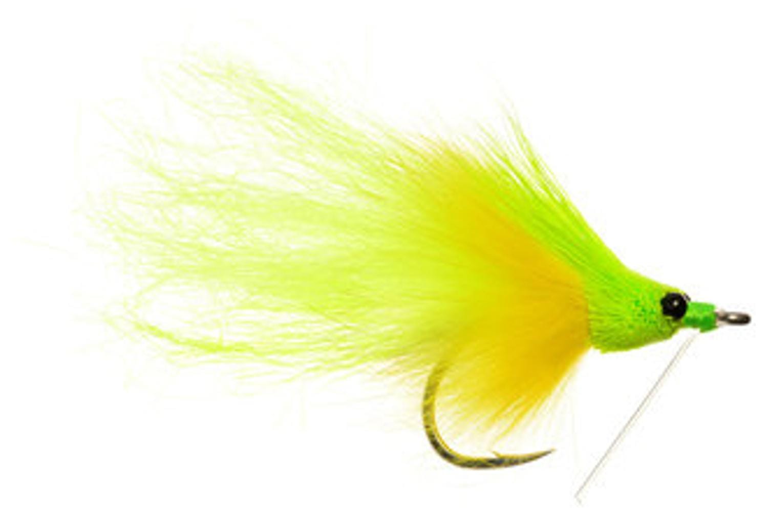Megalopsicle Fly