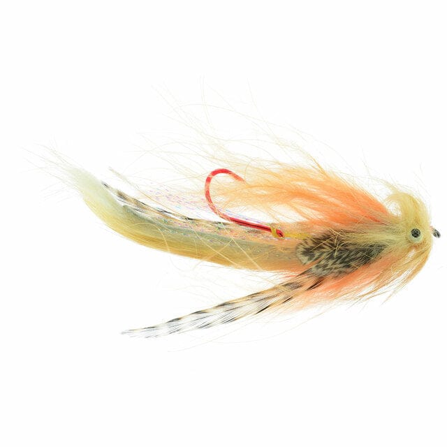 Morrish Medusa Fly
