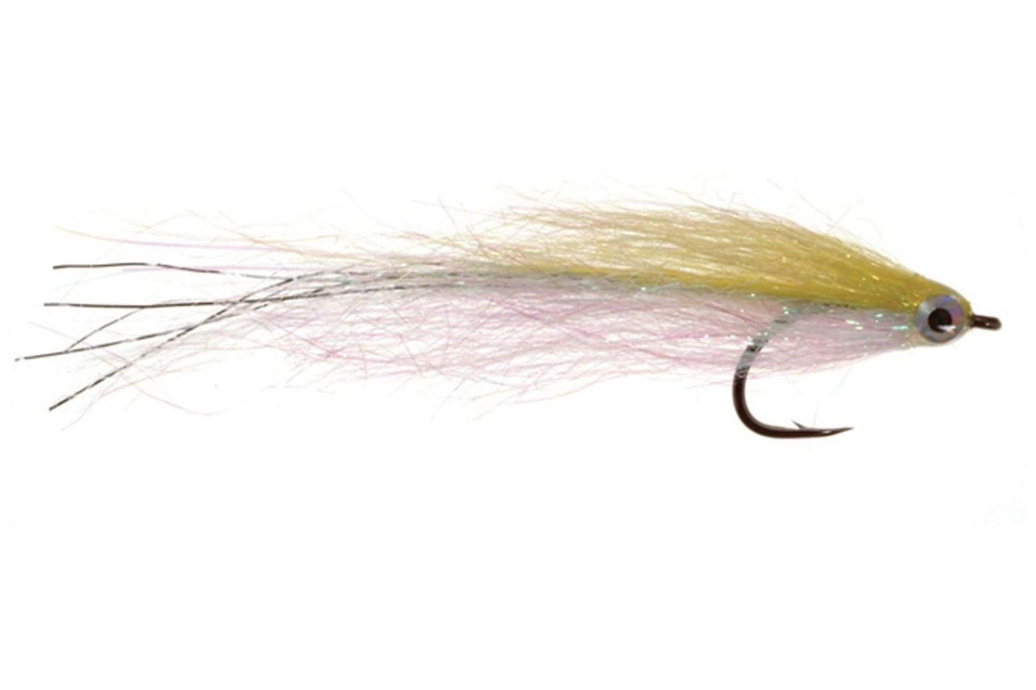 Mushmouth Fly