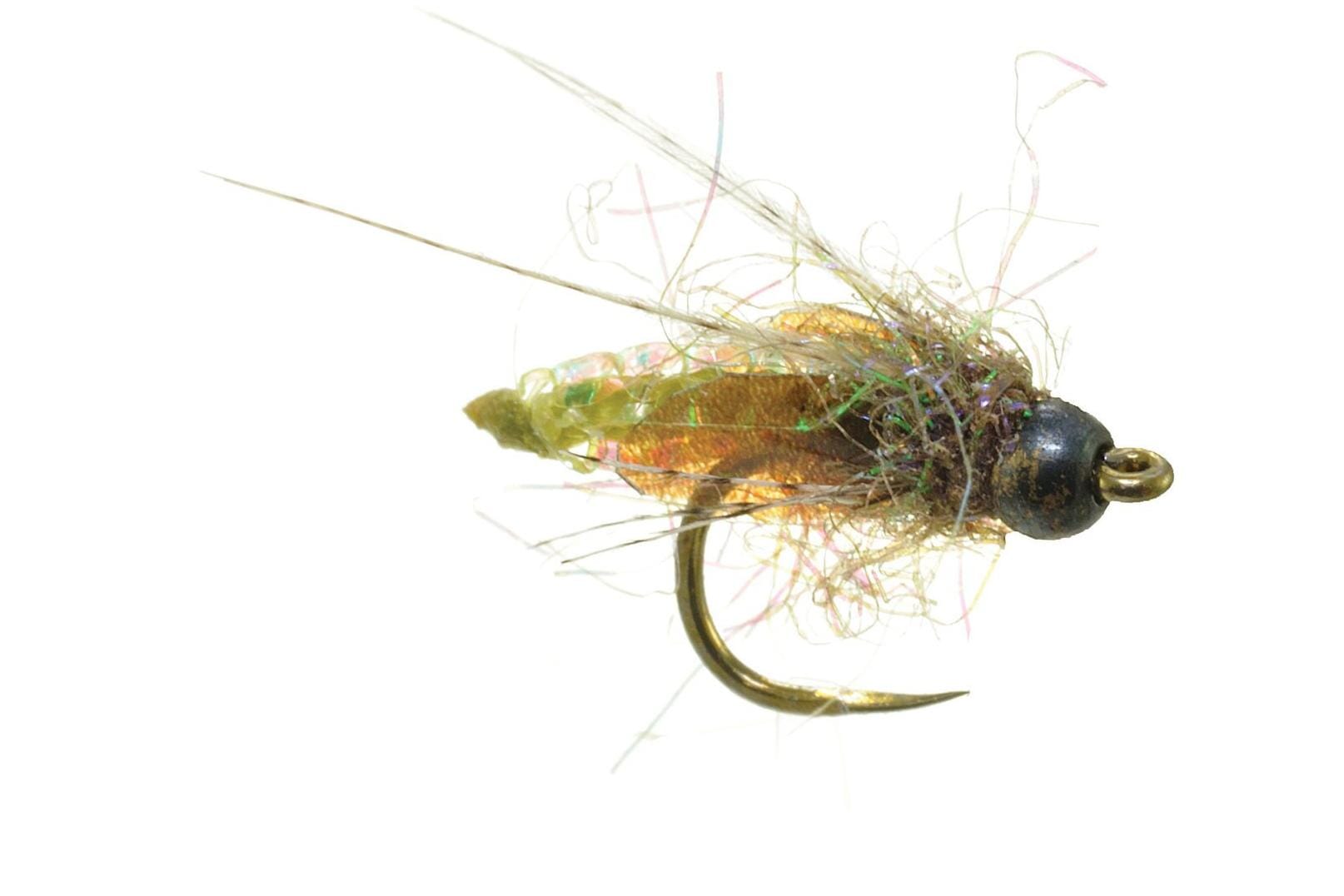 Nitro Caddis Pupa Fly