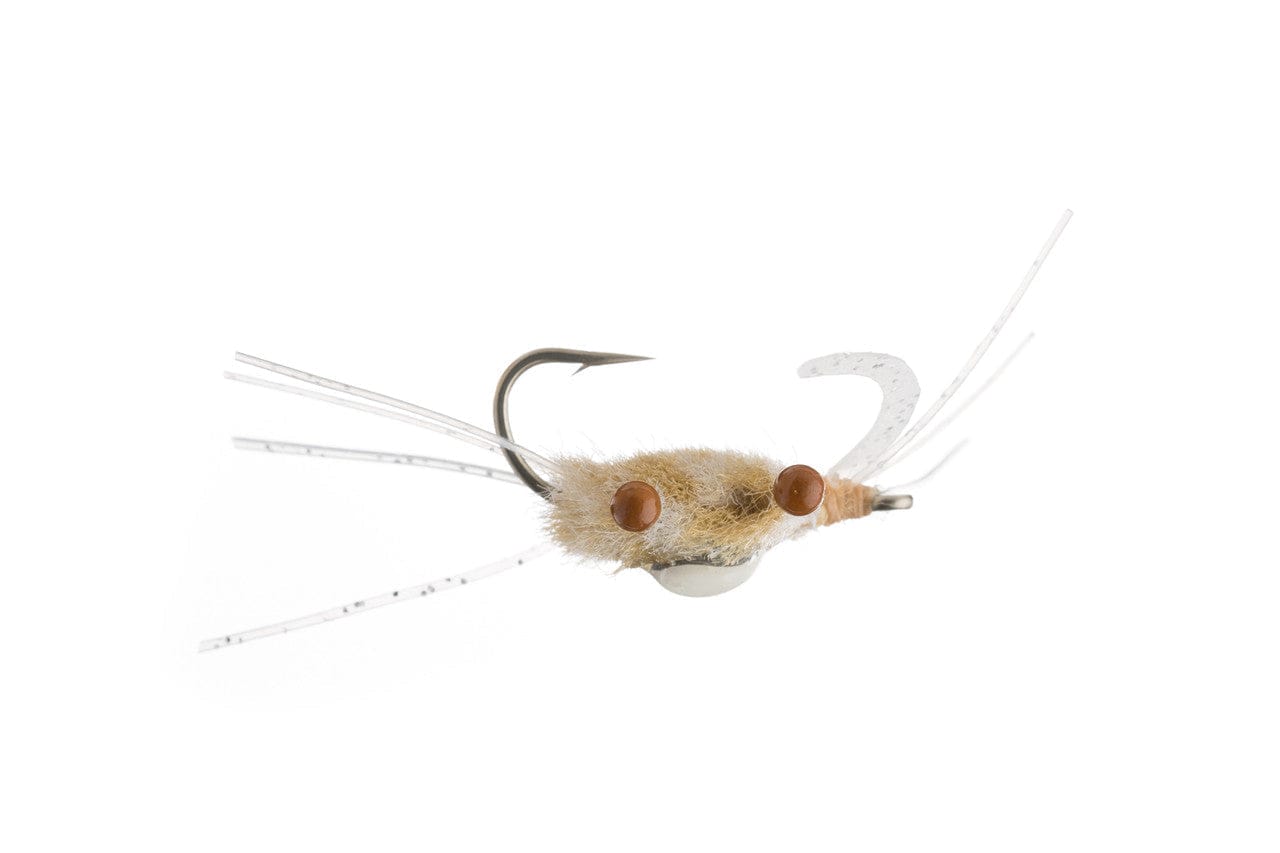 One Armed Bandit Fly