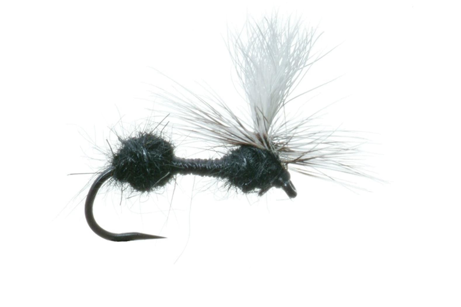 Parachute Ant Dry Fly
