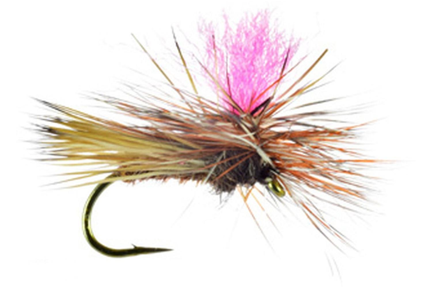 Parachute Caddis Fly