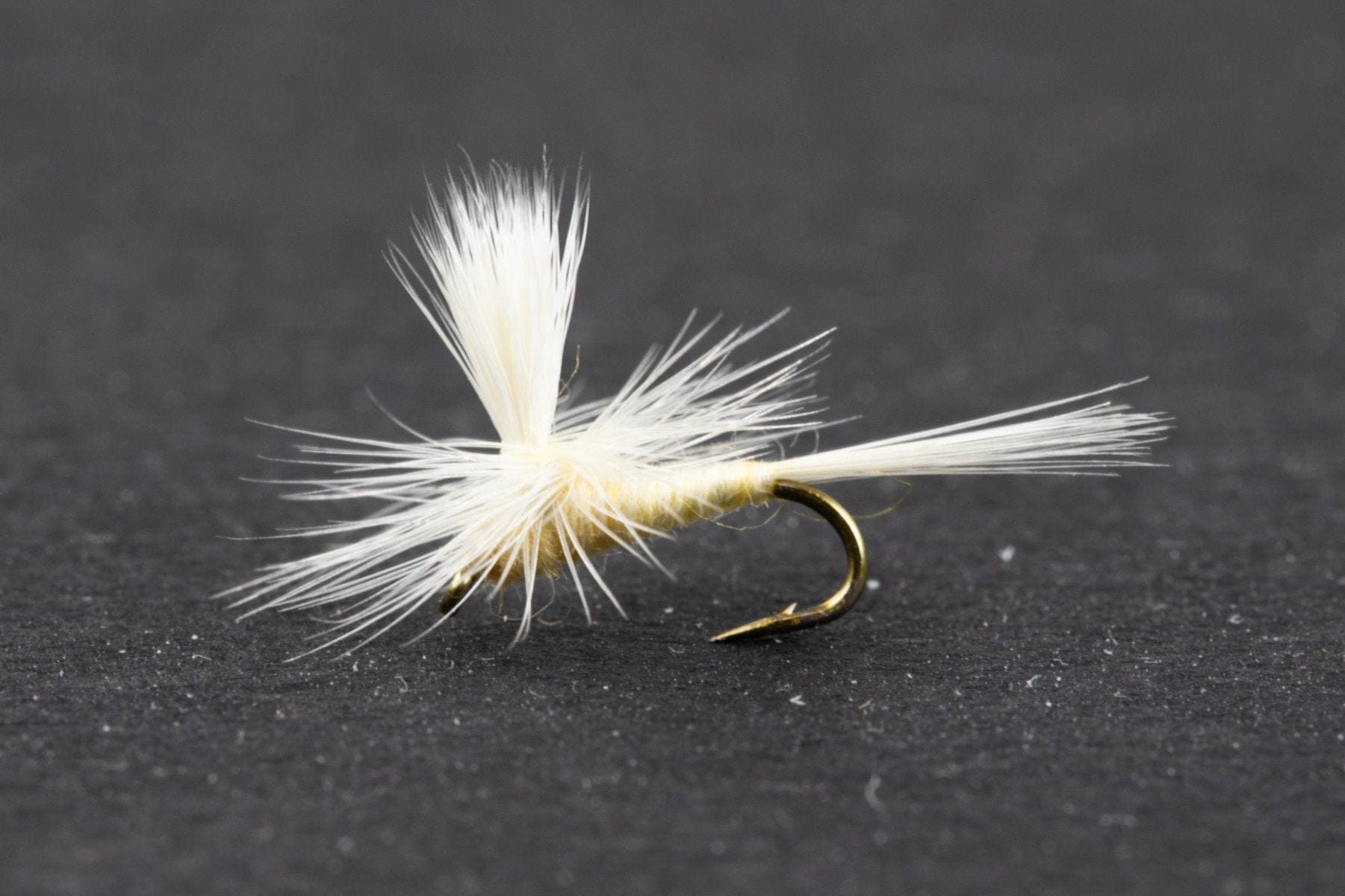 Parachute Cahill Dry Fly