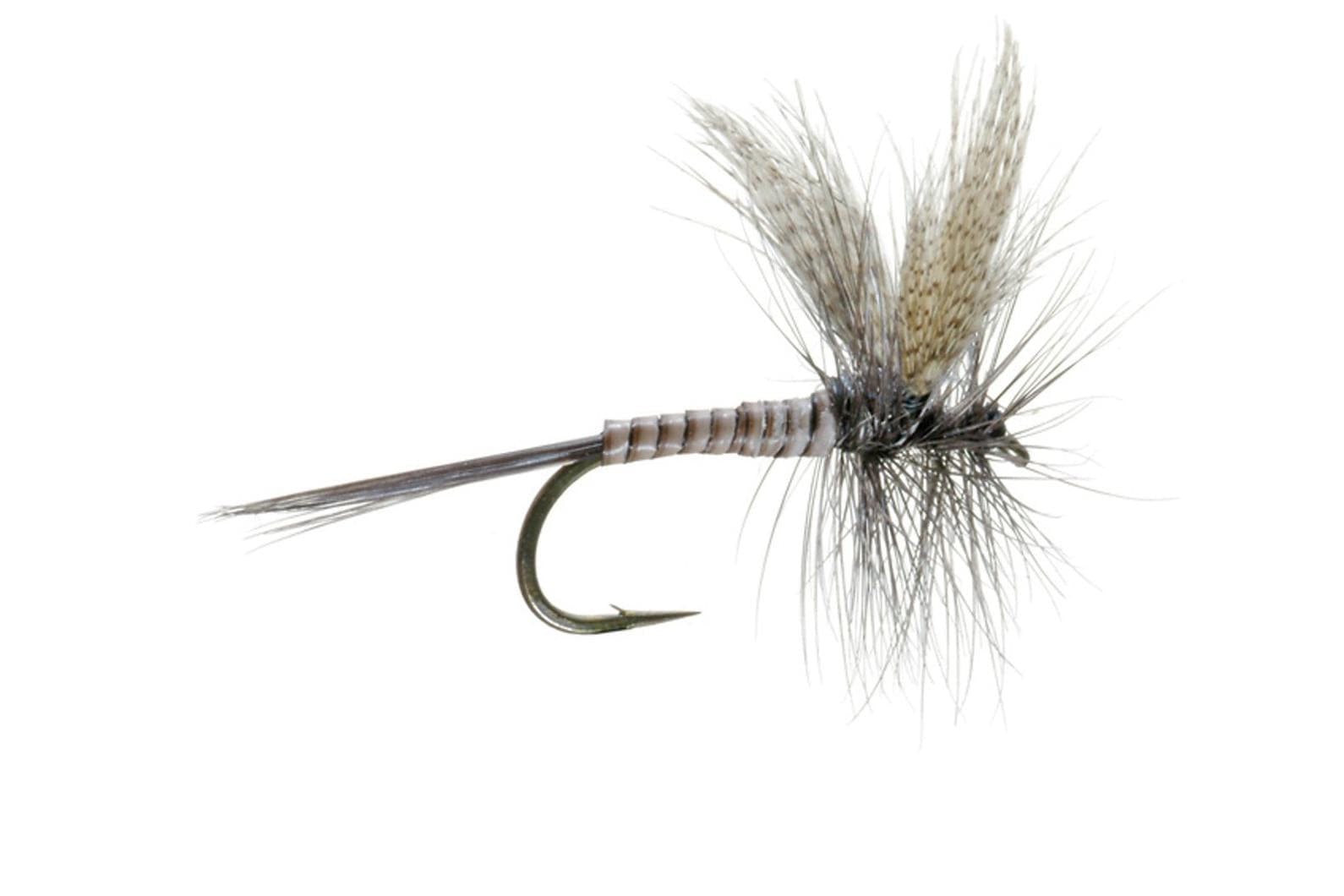 Quill Gordon Dry Fly