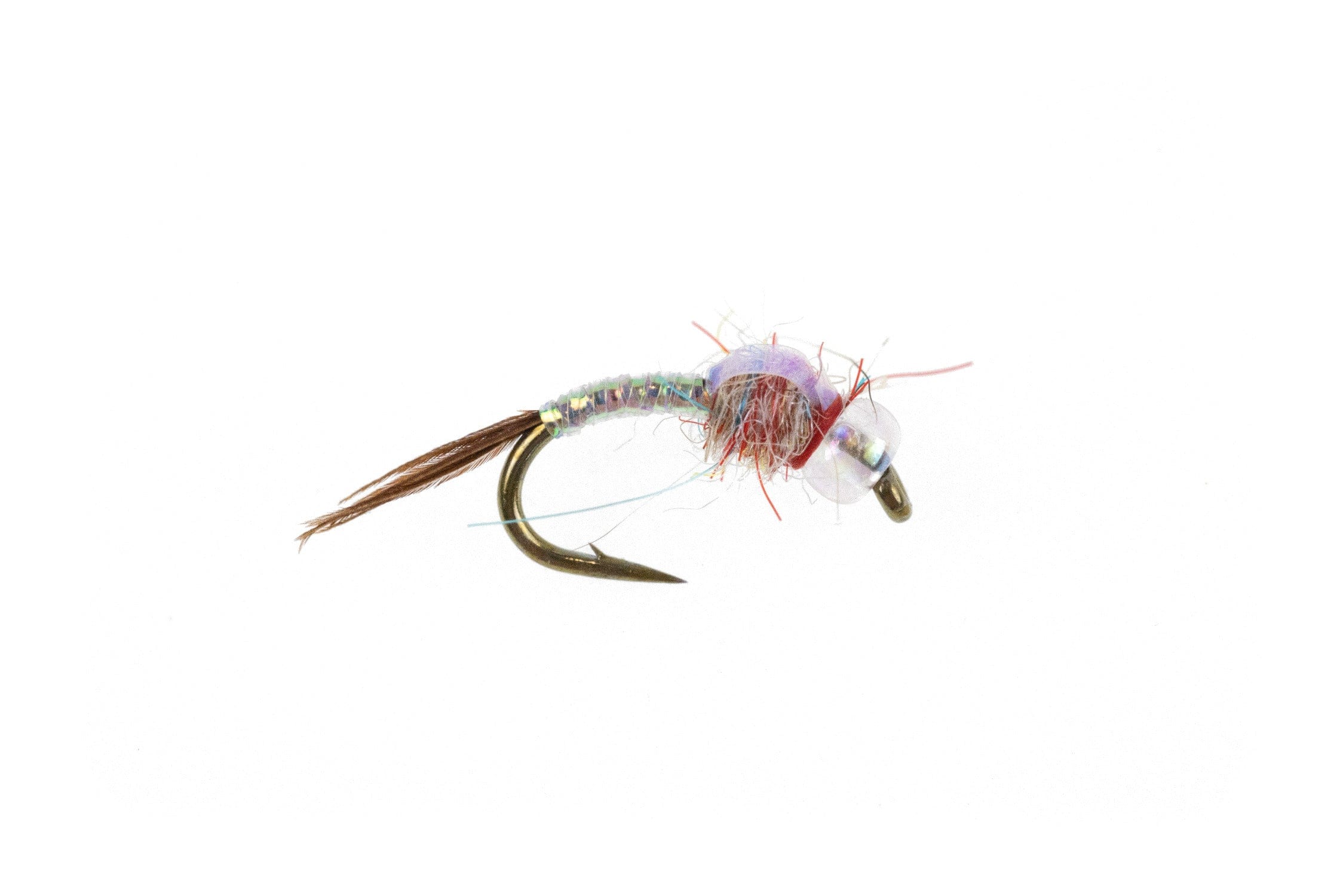 Rainbow Warrior Fly