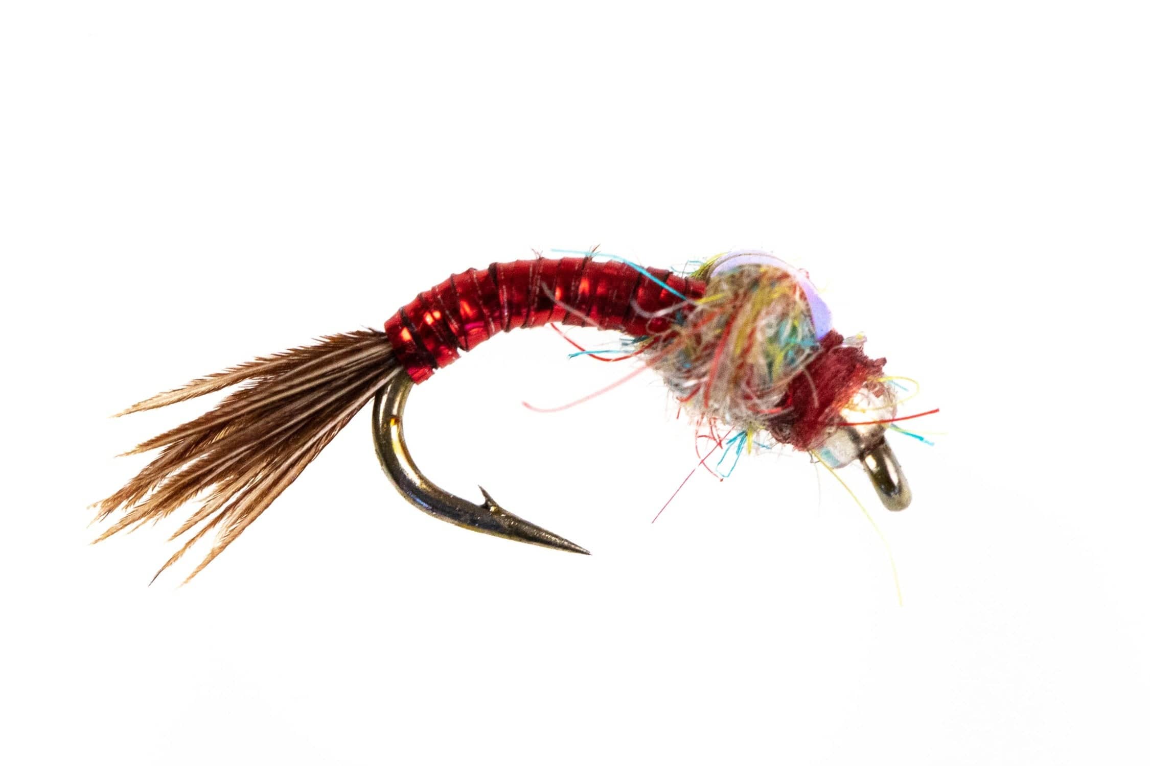 Rainbow Warrior Fly