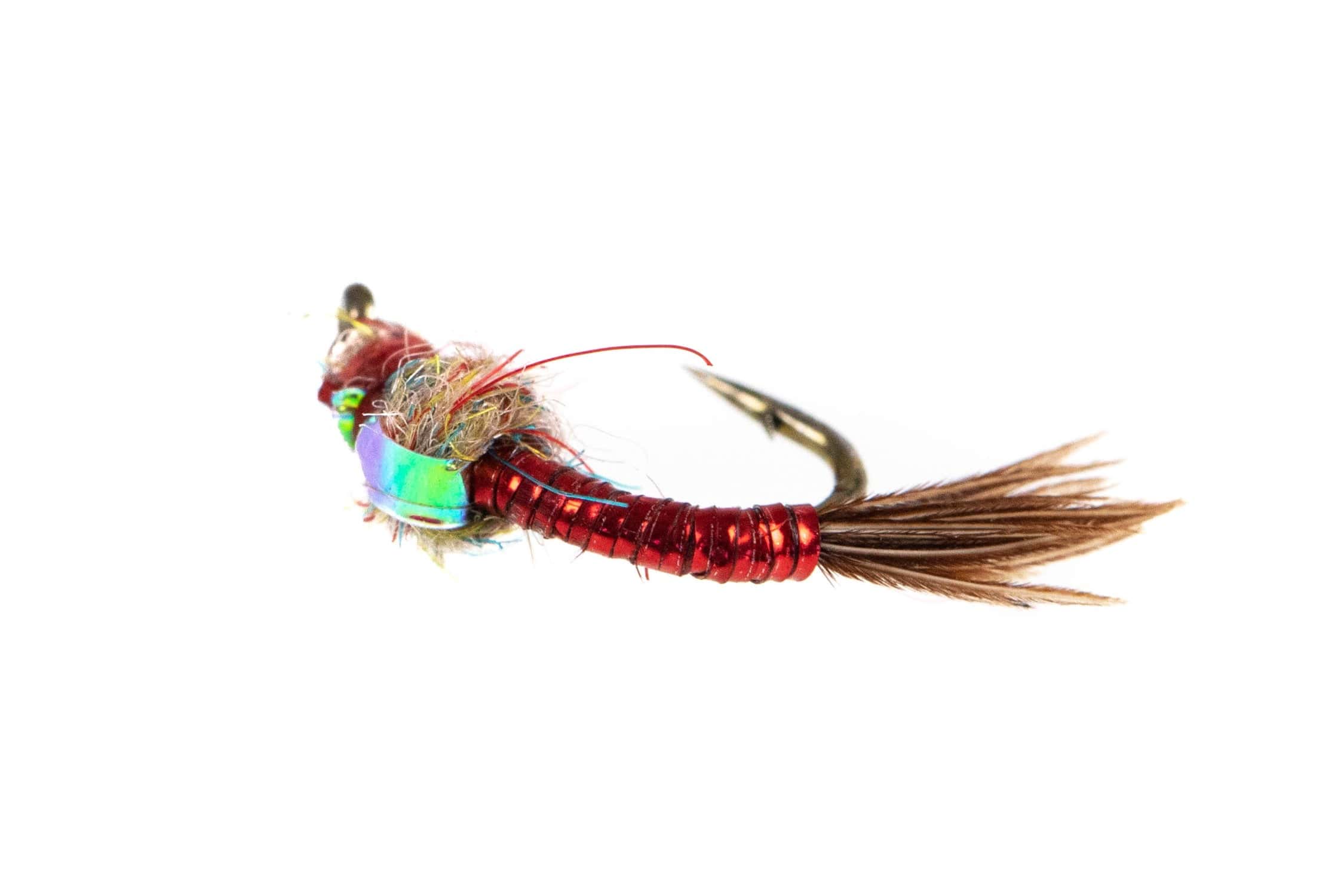 Rainbow Warrior Fly