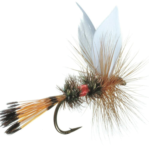 coachman fly reels Coachman-wet Known for its striking appearance and versatility this fly features a peacock herl body red silk floss and white wings creating a visually stunning and highly effective fly Bucktail Royal Coachman Streamer Fly
