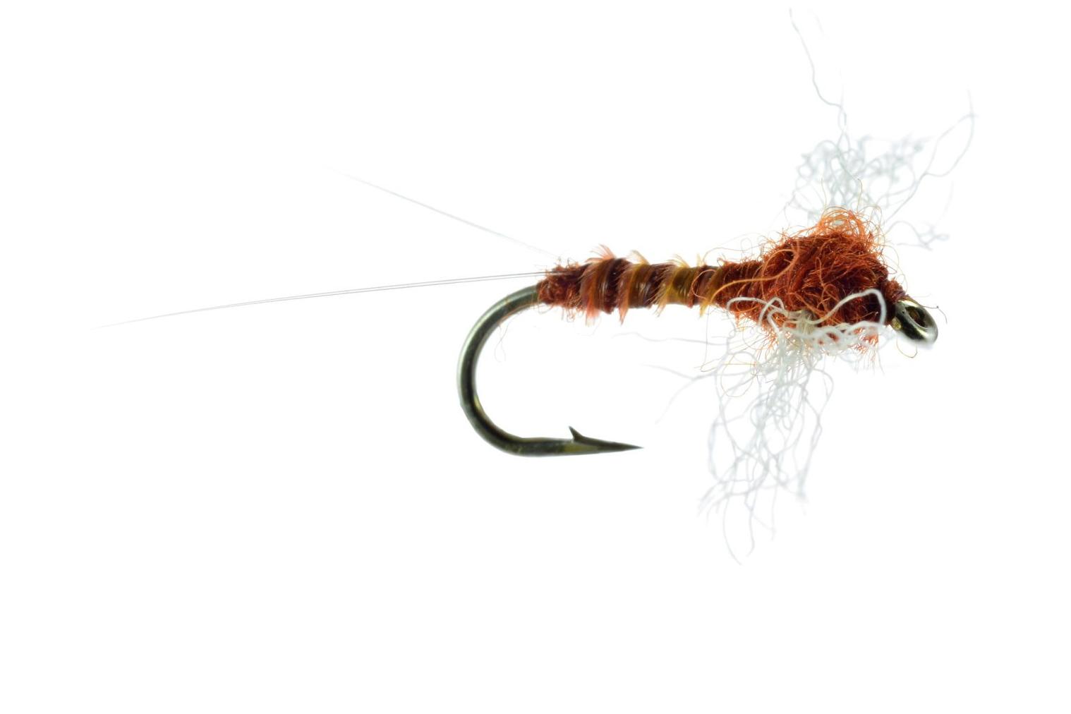 Rusty Spinner Fly