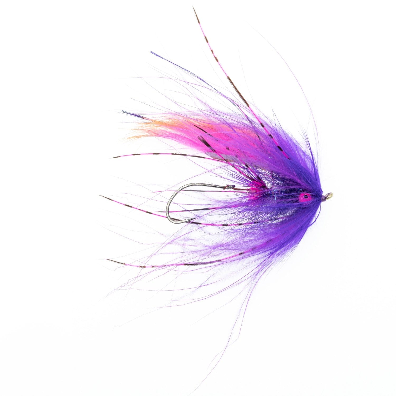 Silvey Intruder Fly