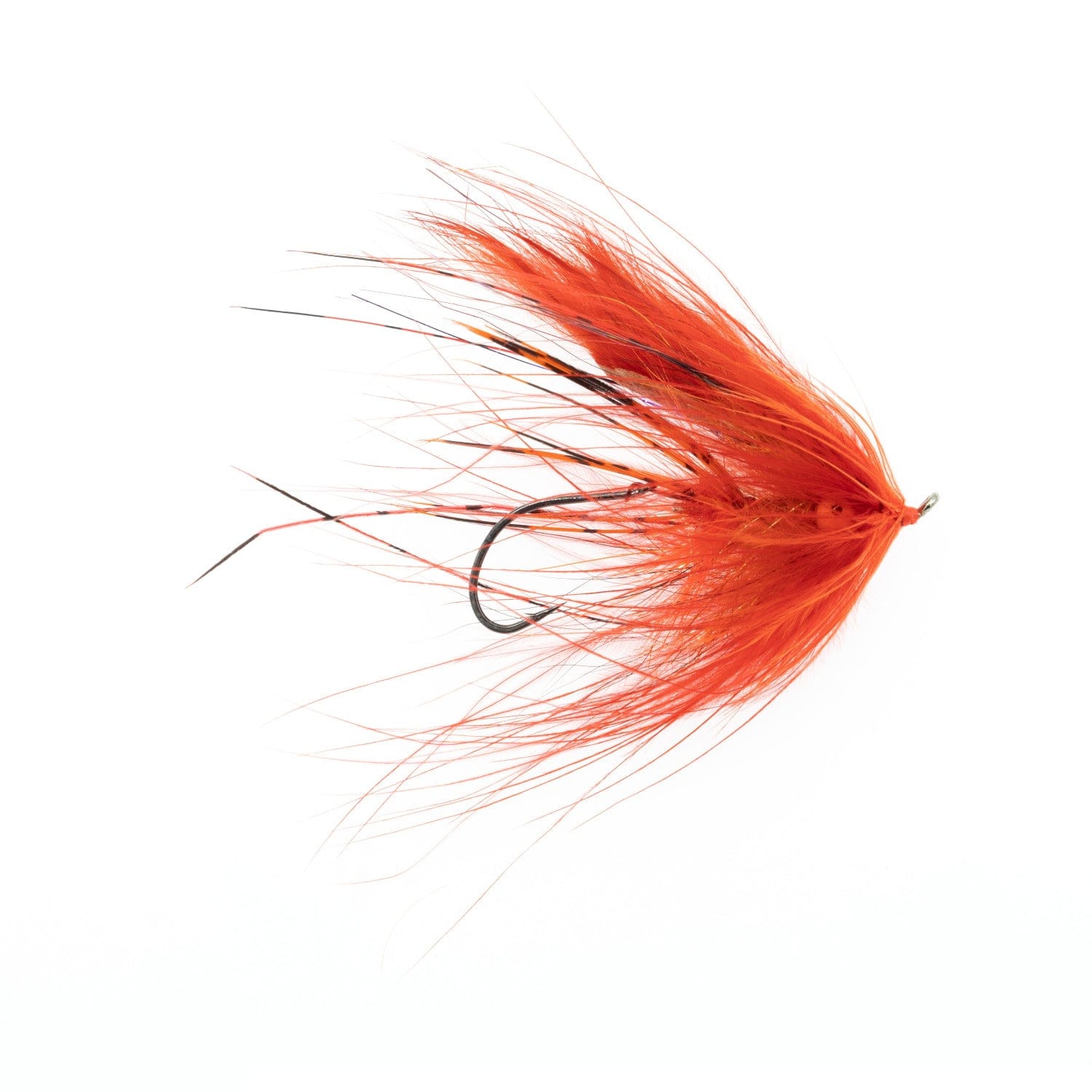 Silvey Intruder Fly