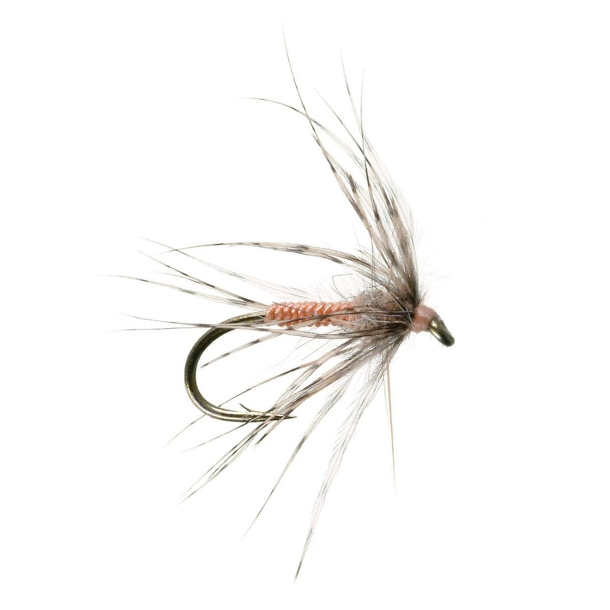 Soft Hackle Fly