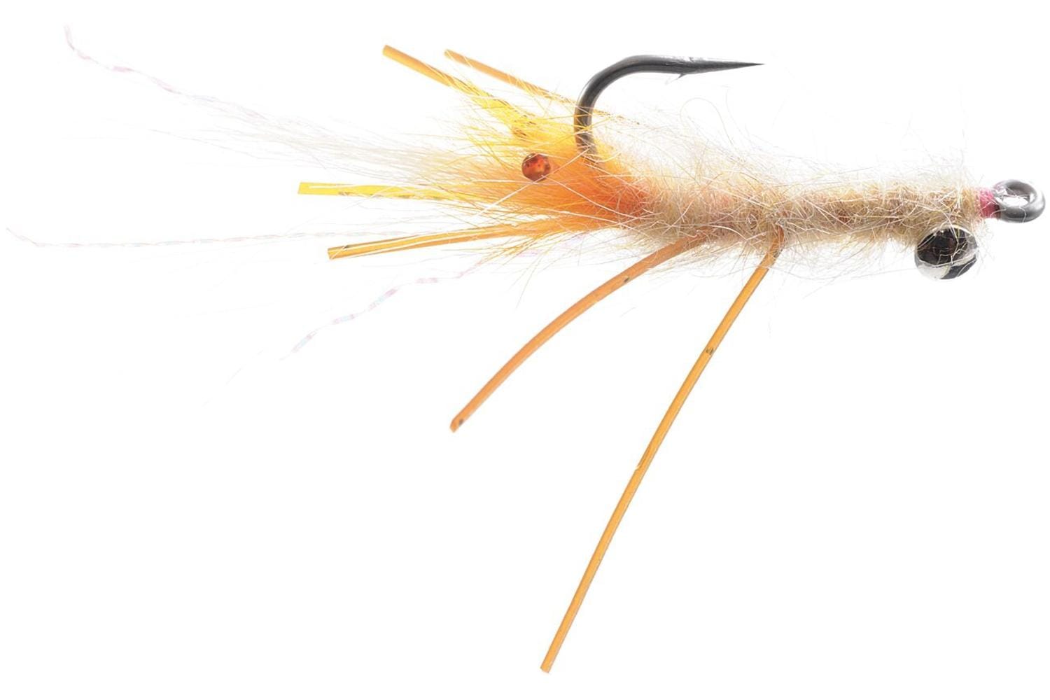 Spawning Mantis Fly