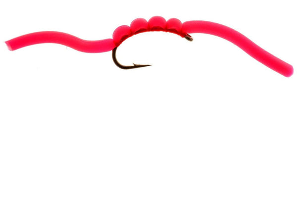 Squirmy Wormy