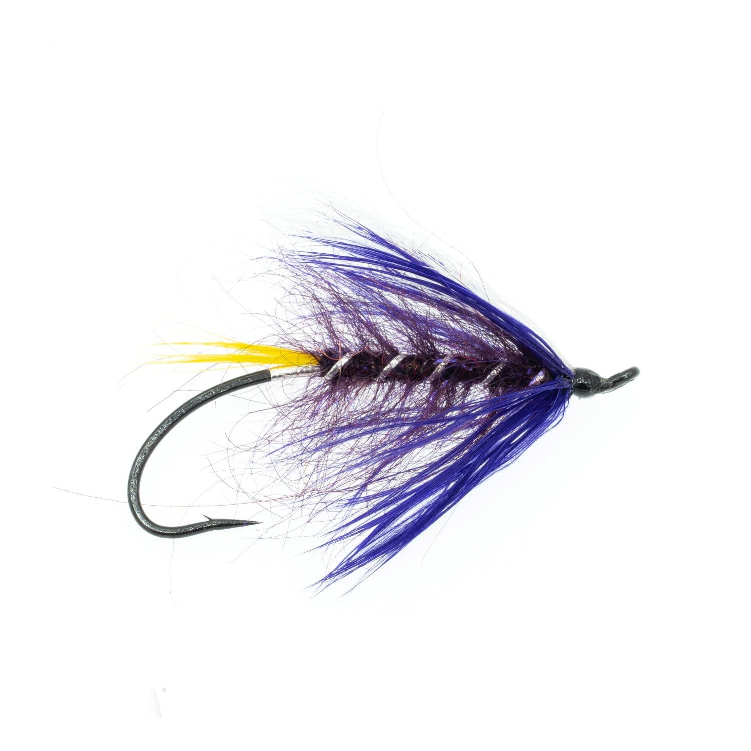 Summer Iron Fly