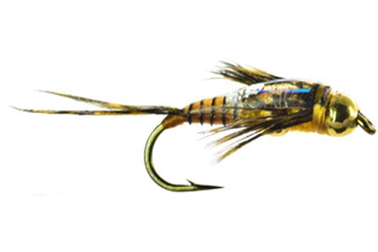 Two Bit Stone Fly