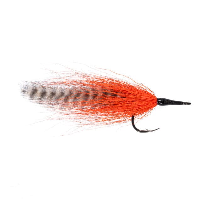 Umpqua Cockroach Fly