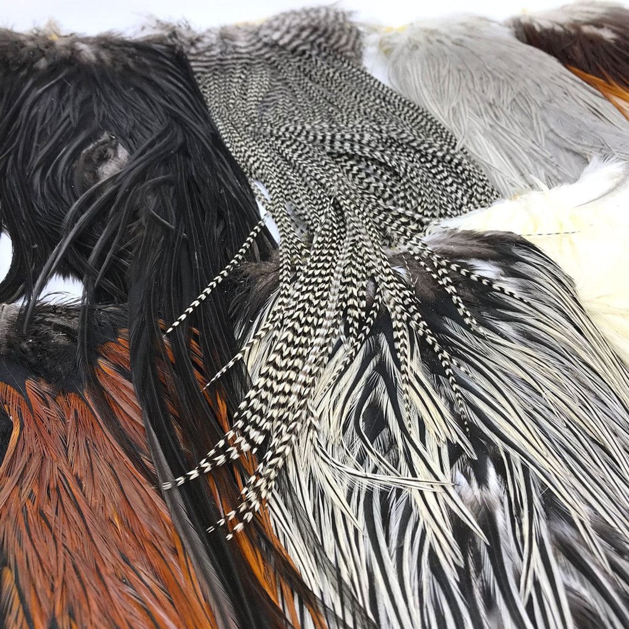 Metz Signature Premium Saddle Feathers