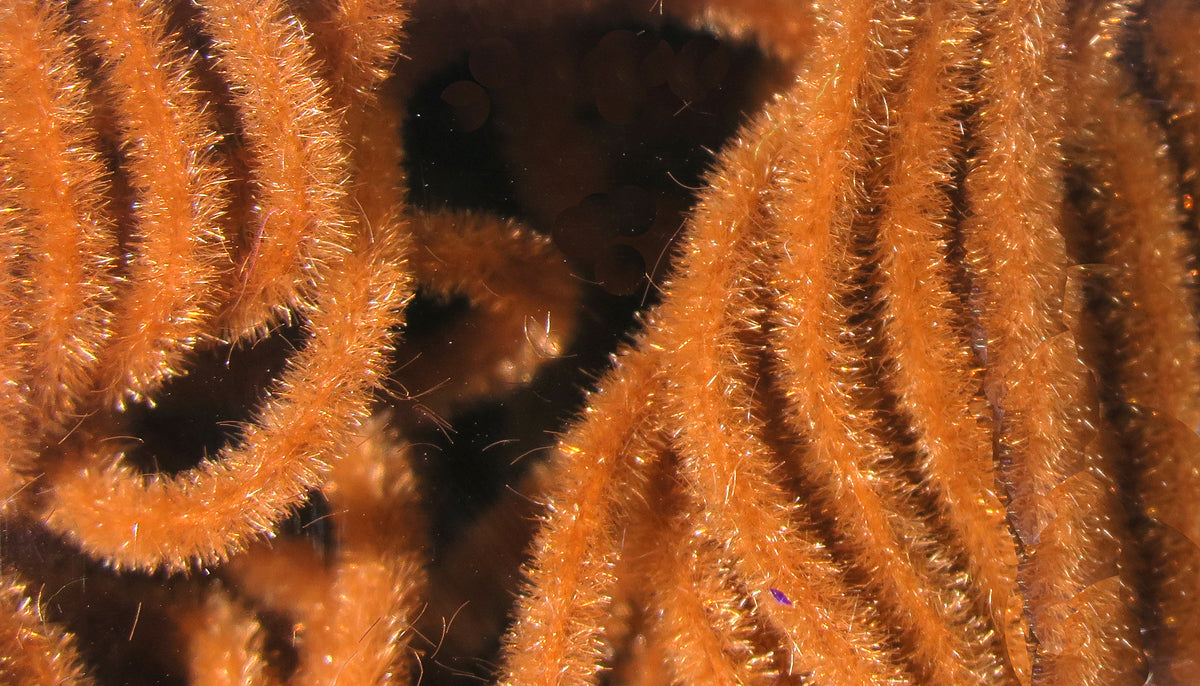 Hareline Velvet Chenille