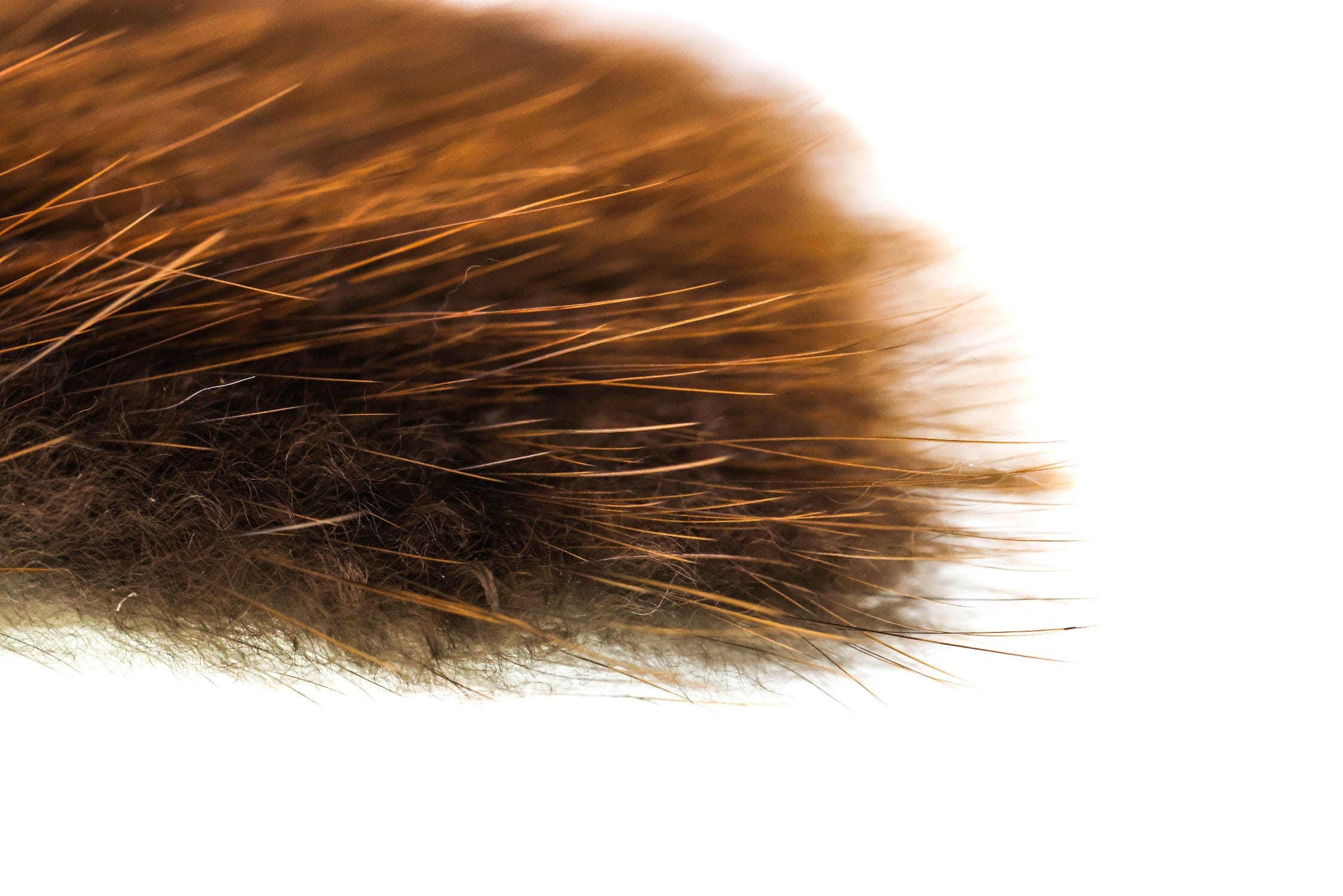 Wapsi Beaver Fur