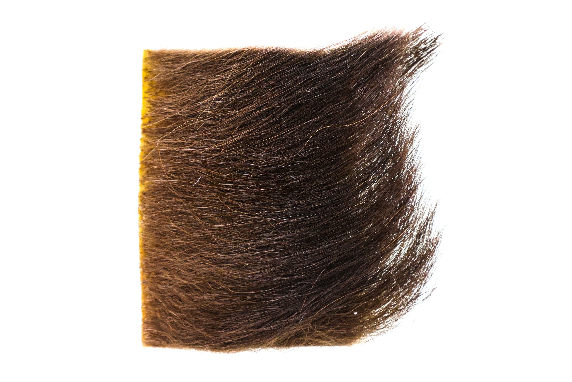 Wapsi Black Bear Hair