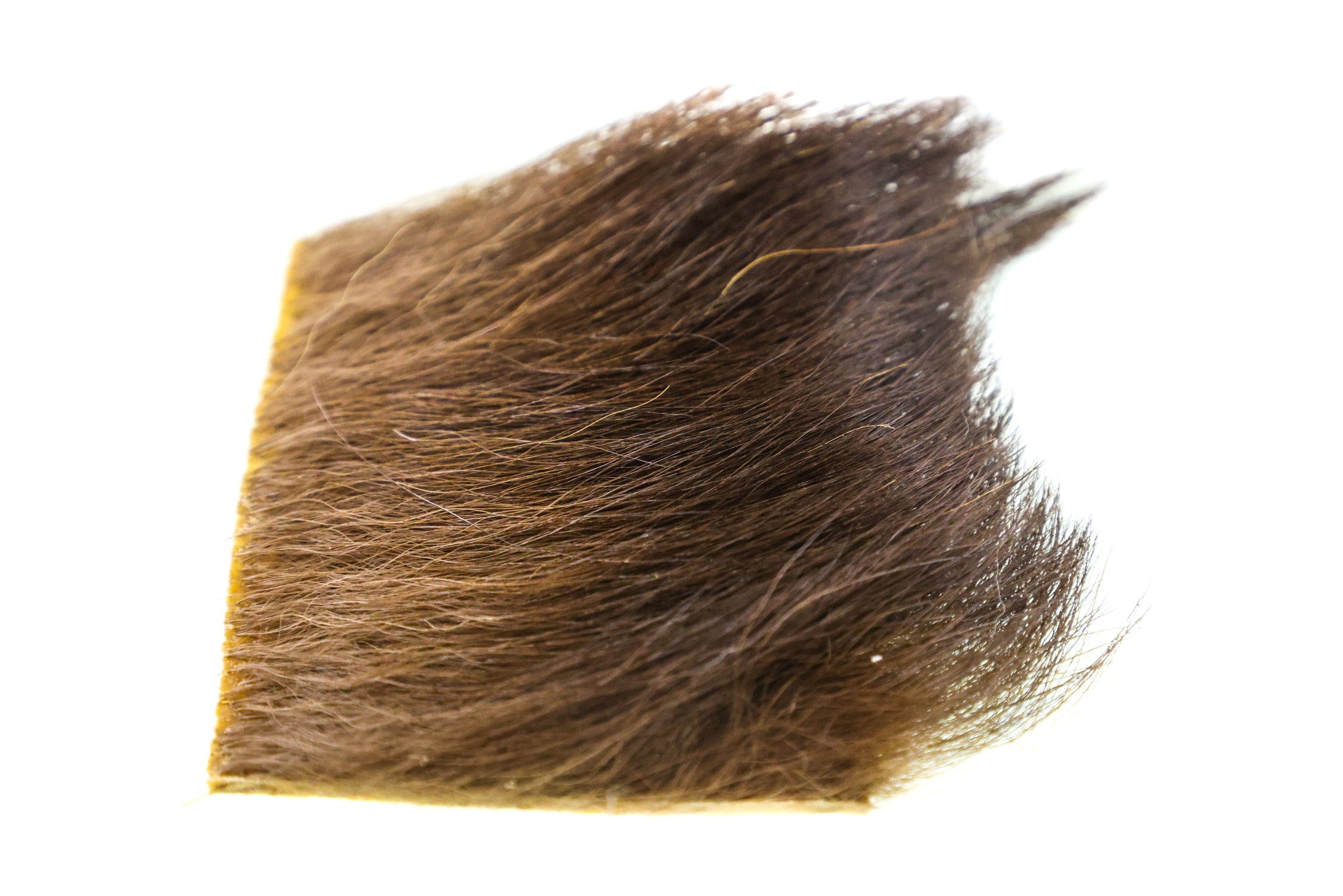 Wapsi Black Bear Hair