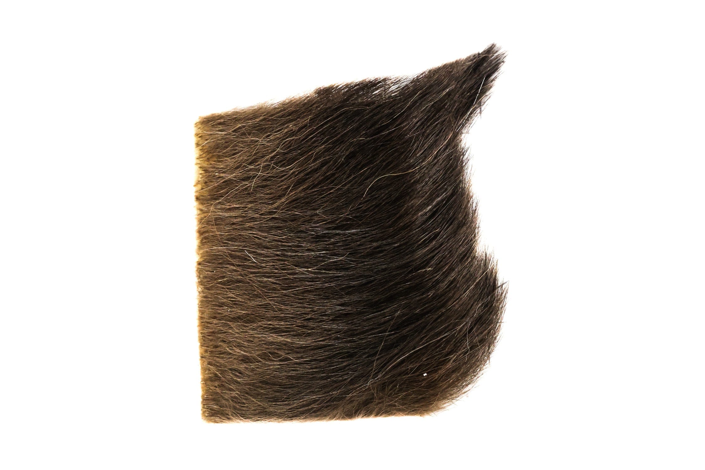 Wapsi Black Bear Hair