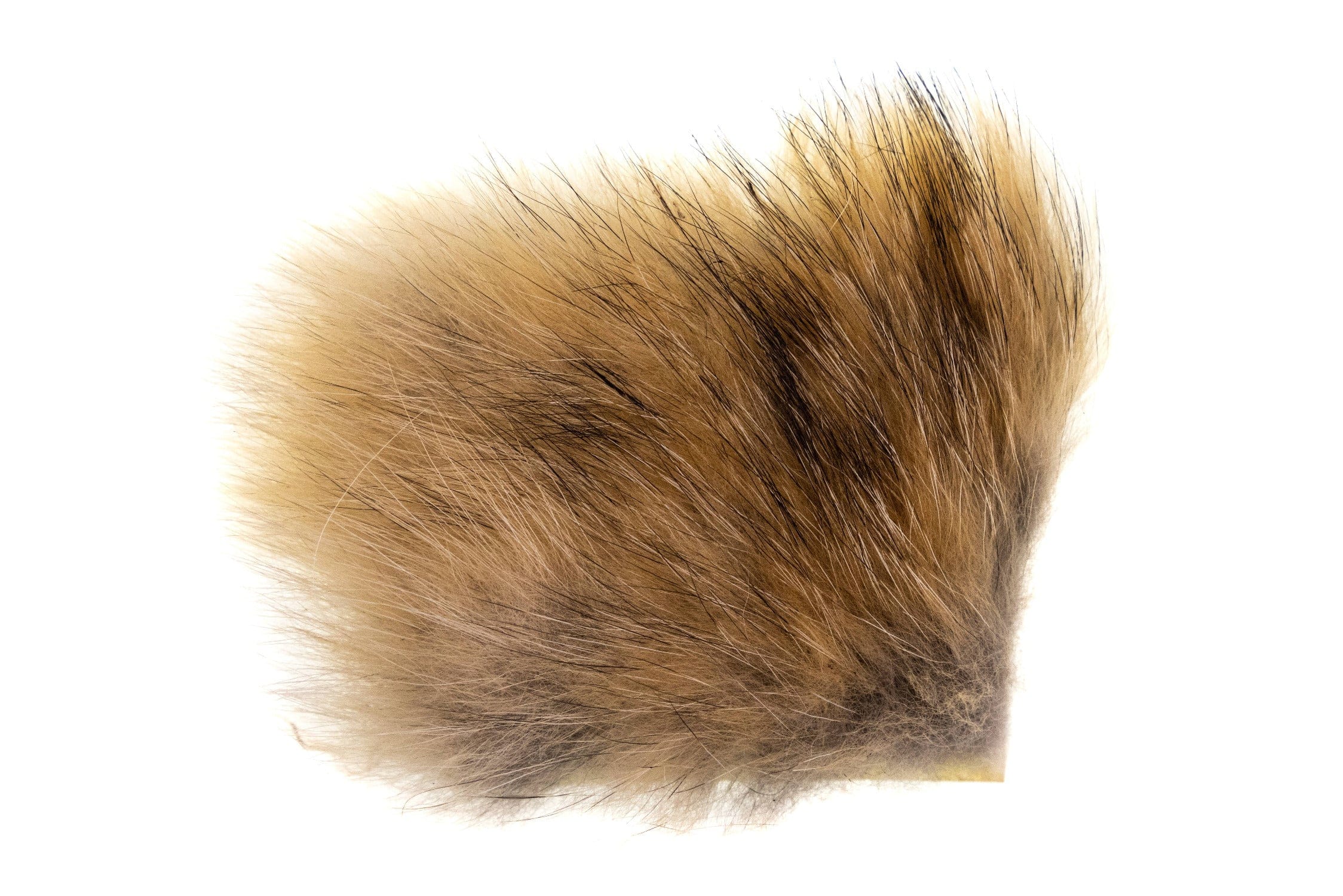 Wapsi Coyote Fur