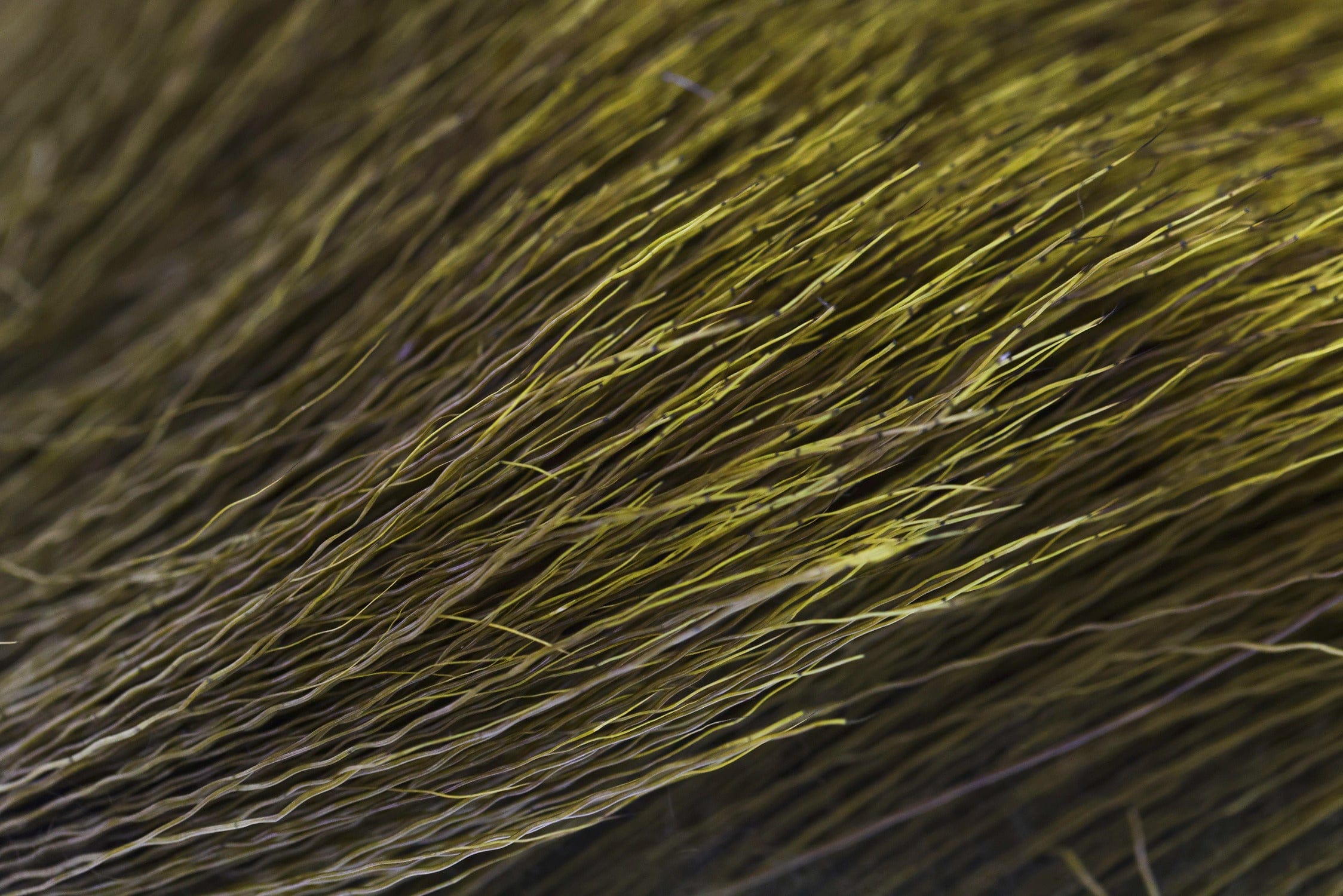 Wapsi Elk Body Hair