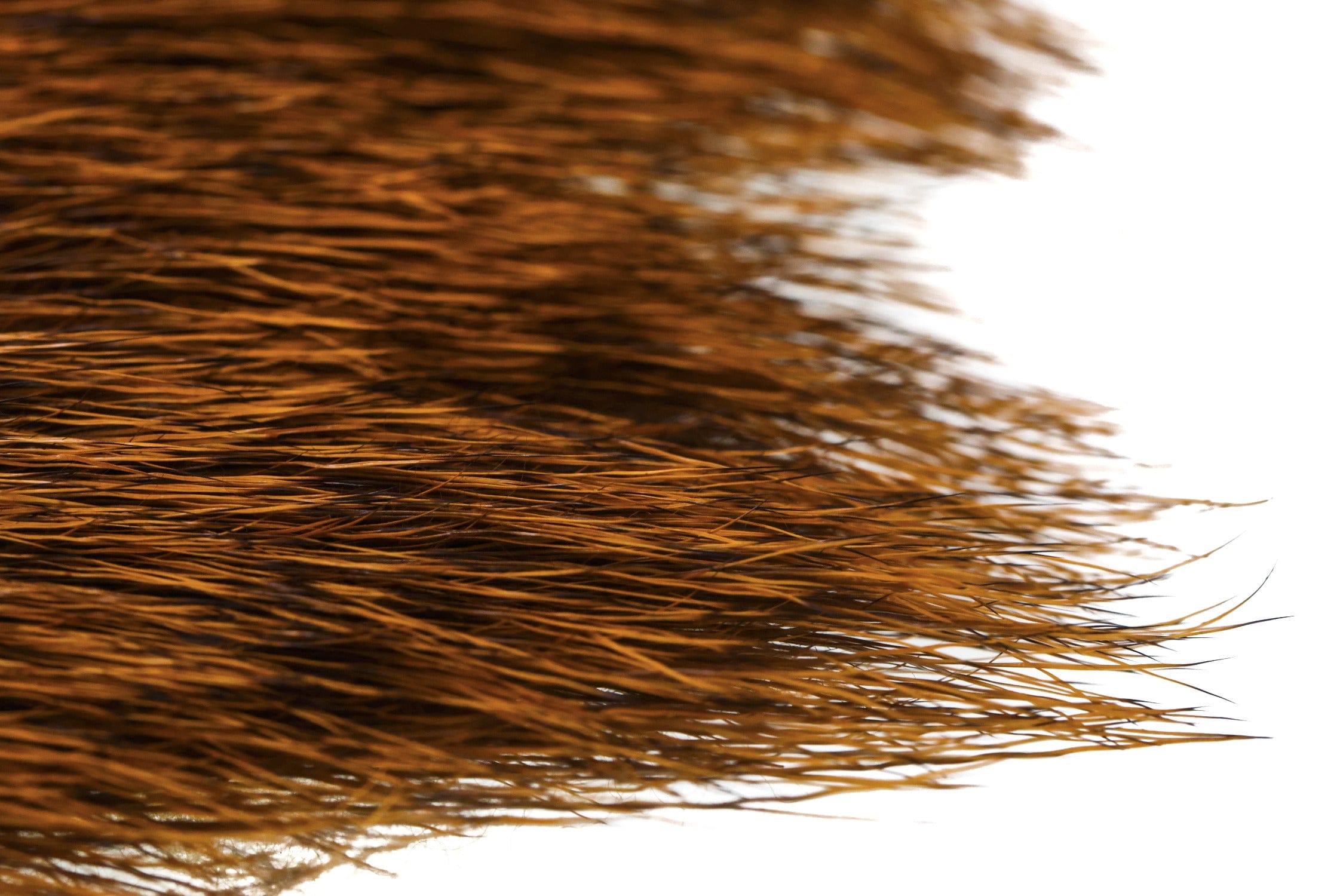 Wapsi Elk Body Hair