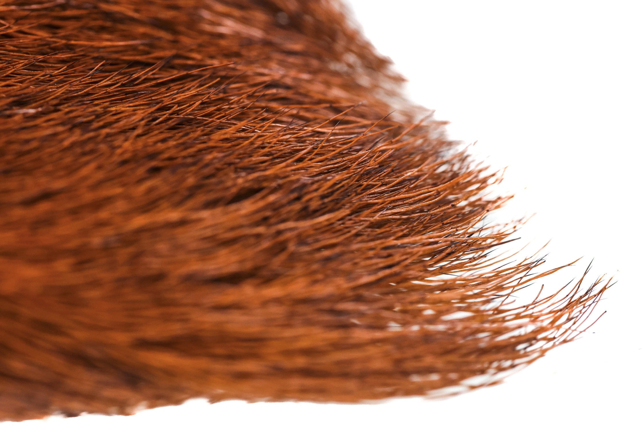 Wapsi Elk Body Hair