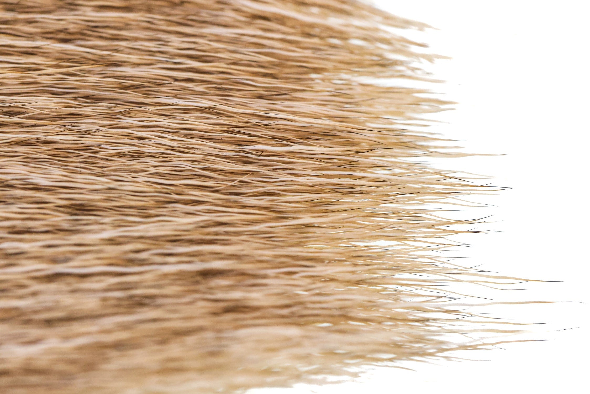 Wapsi Elk Body Hair