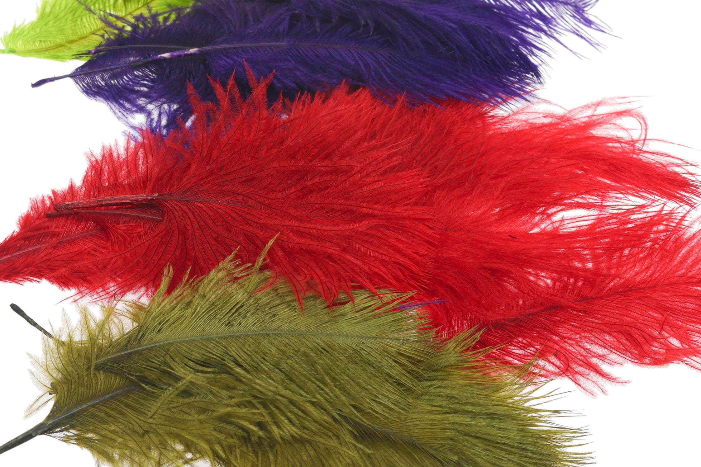 Wapsi Mini Ostrich Plumes